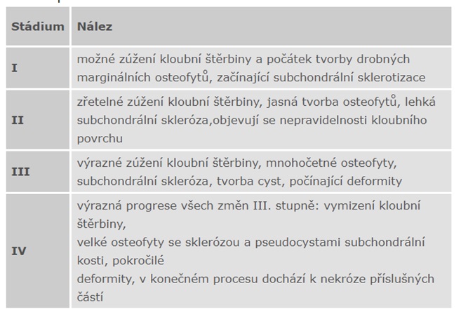 kolagen článek